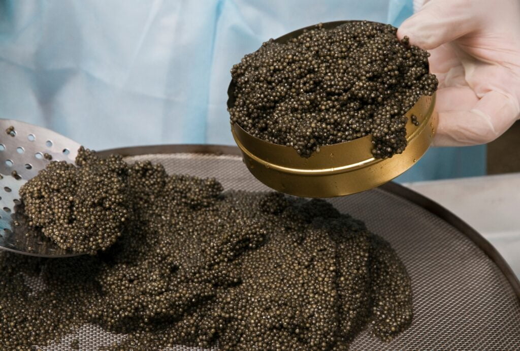 Caviar Product Gallery