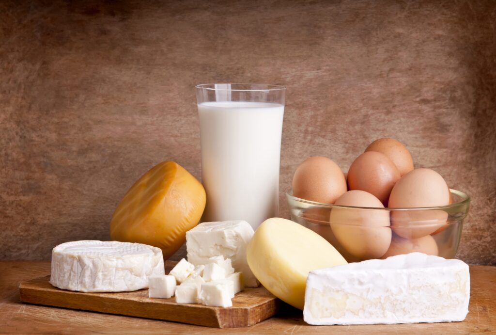 Dairy Product Gallery