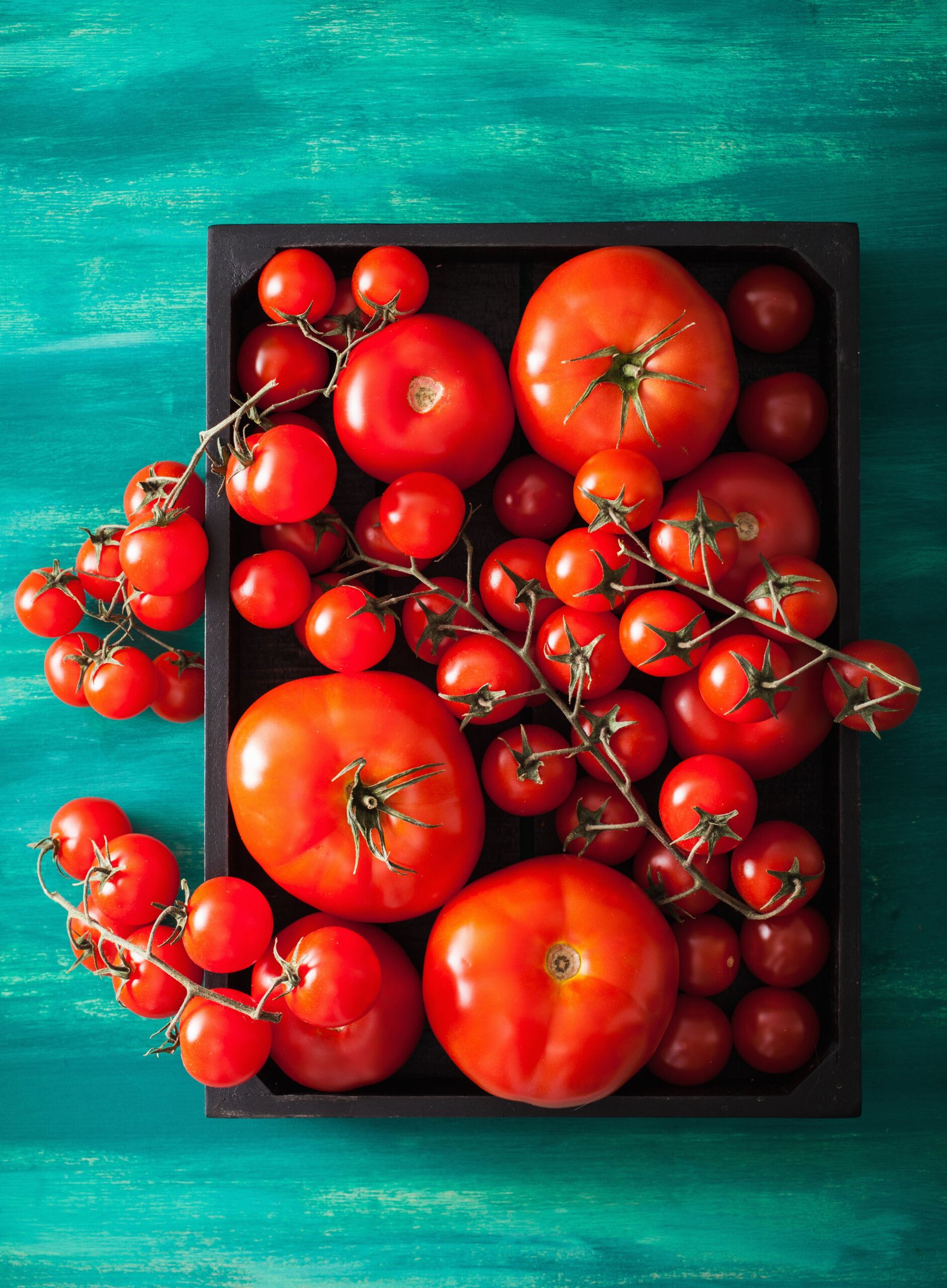 Tomatoes - Altaclass Group